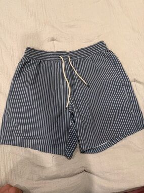 Fair Harbor Navy and White Striped Swim Trunks